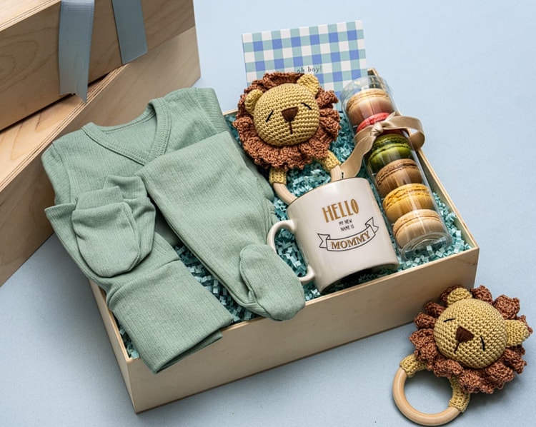 Aslancık Çıngıraklı Bebek Hediye Kutusu