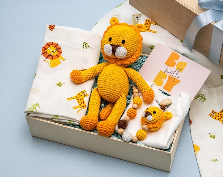 Aslanlı Set Erkek Bebek Hediye Kutusu