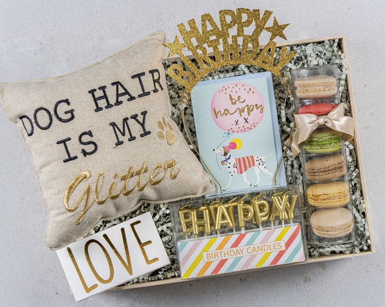Dog Love Doğum Günü Hediye Kutusu