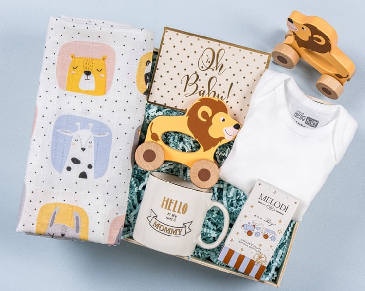 Oyuncak Aslan Bebek Hediye Kutusu