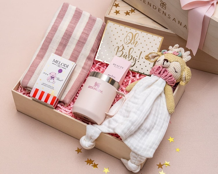 Stanley ile Tebrik Kız Bebek Hediye Kutusu