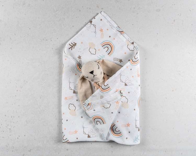 Aslancık Bebek Kutusu