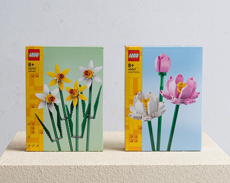 Legolu Doğum Günü Hediye Kutusu